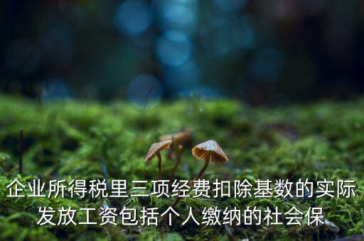 企業(yè)所得稅扣除基數(shù)指什么，企業(yè)所得稅里三項(xiàng)經(jīng)費(fèi)扣除基數(shù)的實(shí)際發(fā)放工資包括個(gè)人繳納的社會(huì)保