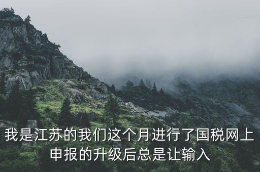 我是江蘇的我們這個(gè)月進(jìn)行了國稅網(wǎng)上申報(bào)的升級后總是讓輸入