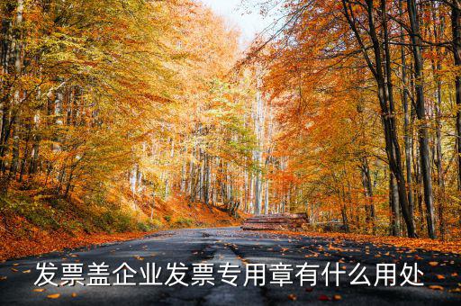 發(fā)票專用章有什么用，公司的發(fā)票專用章是干嘛用的