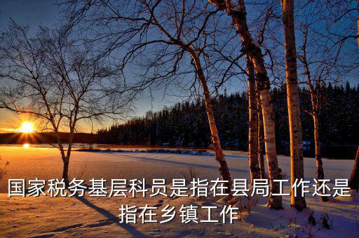 稅務系統(tǒng)的基層指什么，國家稅務基層科員是指在縣局工作還是指在鄉(xiāng)鎮(zhèn)工作