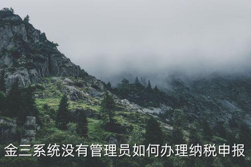 金三申報(bào)申報(bào)什么意思，申報(bào)是什么意思