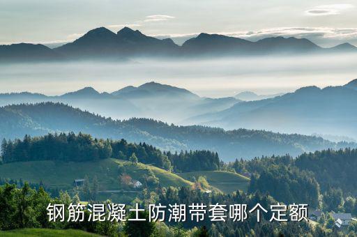 迎春套什么定額，套什么定額
