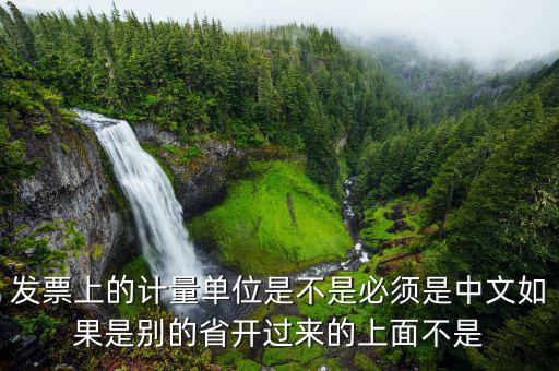 發(fā)票計量單位是什么，發(fā)票上的計量單位是不是必須是中文如果是別的省開過來的上面不是