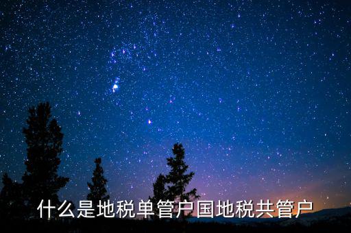地稅分戶是指什么，地稅指的是什么意思