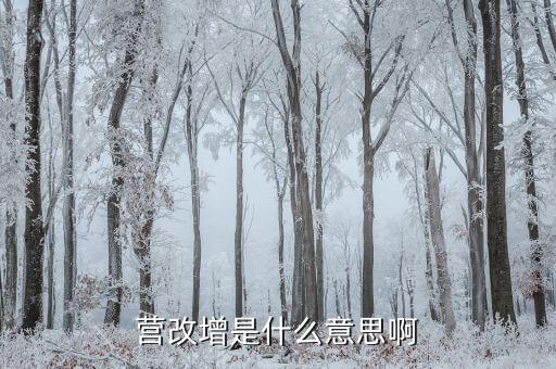 營業(yè)稅改增值稅是什么意思，營業(yè)稅改增值稅指的是什么