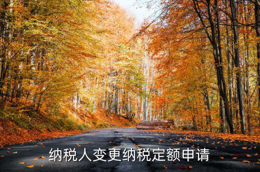 變更納稅定額什么意思，調(diào)整應納稅所得額什么意思