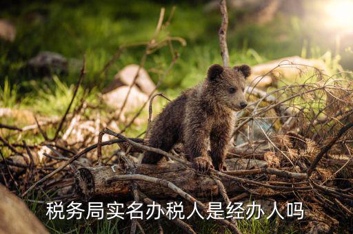 辦稅負責人是什么意思，現(xiàn)在實行的辦稅人員實名登記其中的財務負責人辦稅人員發(fā)票經(jīng)辦人
