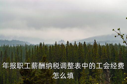 工會(huì)經(jīng)費(fèi)應(yīng)稅項(xiàng)填什么，網(wǎng)上報(bào)稅時(shí)又多了一項(xiàng)工會(huì)經(jīng)費(fèi)怎樣填寫計(jì)算