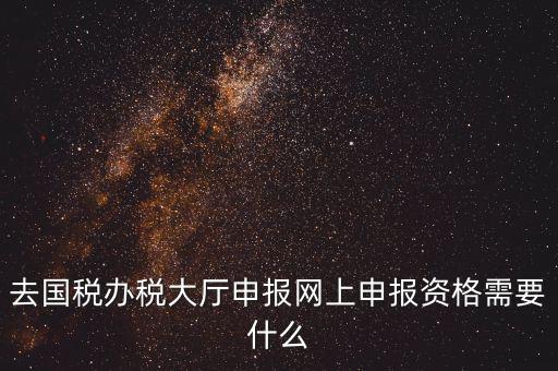 國稅網(wǎng)上申報用什么，去國稅辦稅大廳申報網(wǎng)上申報資格需要什么