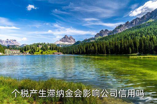 稅收滯納金有什么影響，地稅報稅逾期產生滯納金會對公司有甚么影響