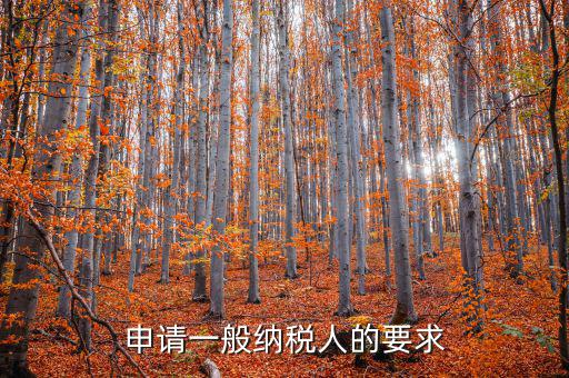 納稅人需求什么，申請一般納稅人的要求