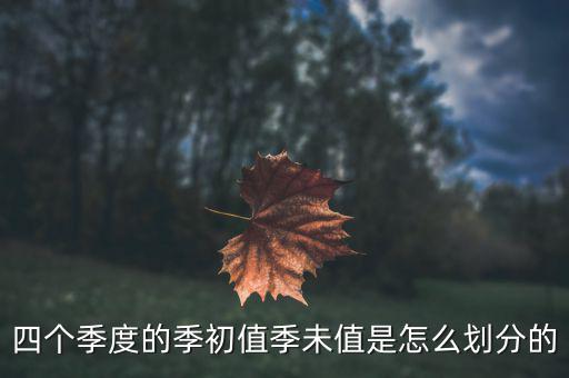 季初值和季末值是什么，四個季度的季初值季未值是怎么劃分的