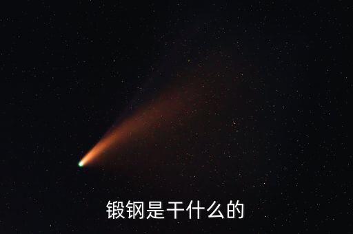 弘遠(yuǎn)泰斯是干什么的，飛踏是干什么的