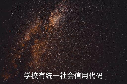 社會(huì)識(shí)別代碼是什么問(wèn)題，社會(huì)信用代碼是不是納稅人識(shí)別號(hào)