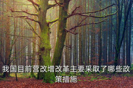 目前營改增政策暫不包括什么，營改增的范圍不包括  A軌道交通運(yùn)輸 B航空公司出租飛機(jī)配