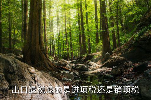 出口退稅退的是什么稅，出口退稅退的是進(jìn)項(xiàng)稅還是銷項(xiàng)稅