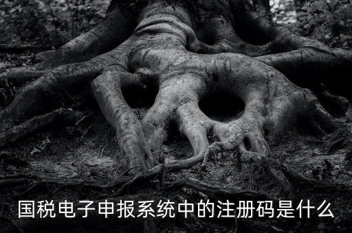 納稅申報(bào)碼是什么碼，什么是納稅申報(bào)號(hào)