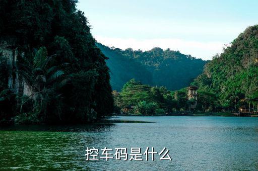 控稅碼在什么位置，新注冊(cè)的有限公司稅務(wù)管理碼是什么啊要在哪里才知道