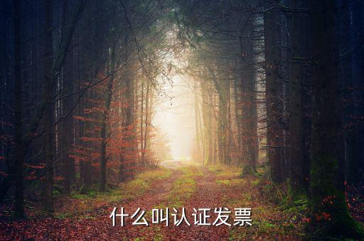 什么叫認證發(fā)票，什么叫認證增值稅發(fā)票如何認證好像還有手工認證是怎么回事啊