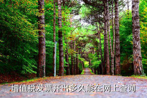 發(fā)票什么時(shí)候網(wǎng)上能查到，對(duì)方開(kāi)具的增值稅發(fā)票什么時(shí)候能上網(wǎng)查詢(xún)到