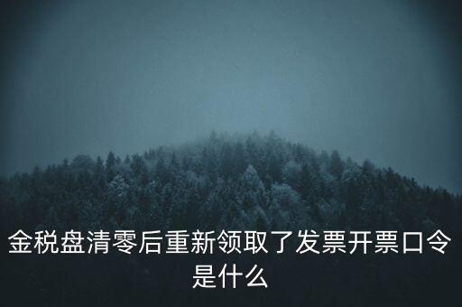 金稅盤(pán)口令是什么，金稅盤(pán)密碼口令忘記已試個(gè)6次還能試嗎