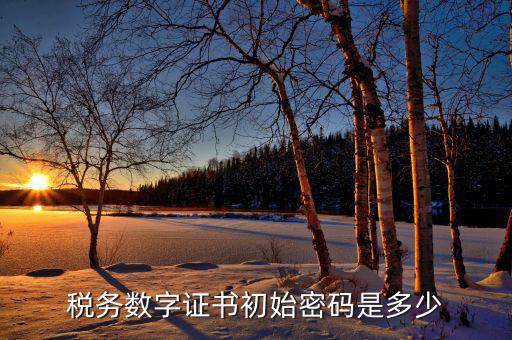 金稅盤ca密碼是什么，稅務(wù)密鑰是什么東西是數(shù)字證書嗎