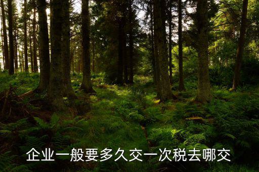 什么時(shí)候繳納企業(yè)所得稅，所得稅什么時(shí)候交