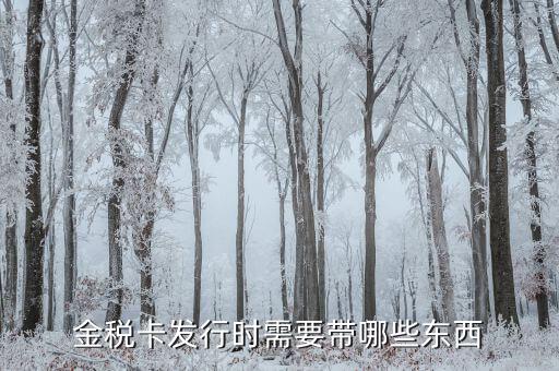 金稅盤發(fā)行帶什么，金稅卡發(fā)行時需要帶哪些東西