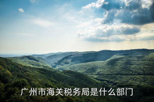 稅務(wù)總局國(guó)際司干什么，國(guó)家稅務(wù)總局是正部級(jí)