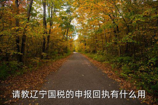 申報回執(zhí)有什么用，申訴以后的回執(zhí)編有什么用