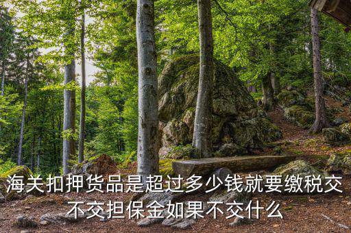 納稅擔(dān)保什么意思，海關(guān)扣押貨品是超過(guò)多少錢(qián)就要繳稅交不交擔(dān)保金如果不交什么