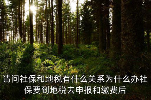 社保和地稅有什么關(guān)系，我現(xiàn)在不知道怎么辦理社保都辦理好了可跟地稅有什么關(guān)系呀