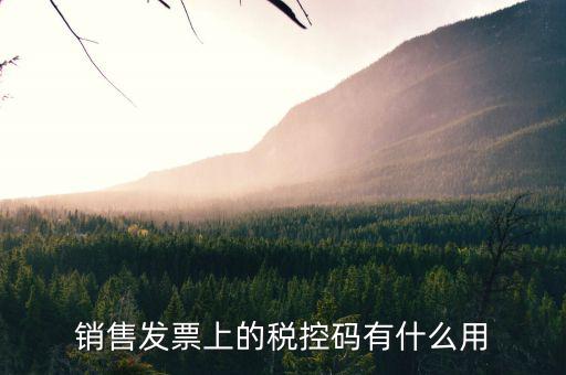 發(fā)票稅控碼是什么，國(guó)稅發(fā)票稅控碼
