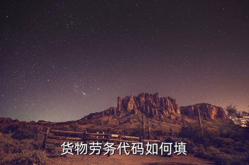 貨物勞務代碼是什么，貨物勞務代碼如何填