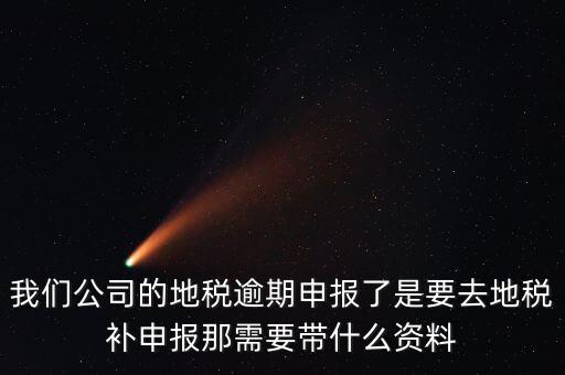 逾期申報(bào)需要帶什么資料，我們公司的地稅逾期申報(bào)了是要去地稅補(bǔ)申報(bào)那需要帶什么資料