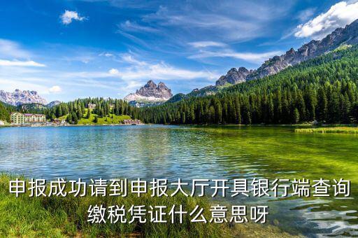銀行端查詢繳稅憑證蓋什么章，銀行端查詢繳款憑證工會(huì)蓋什么章