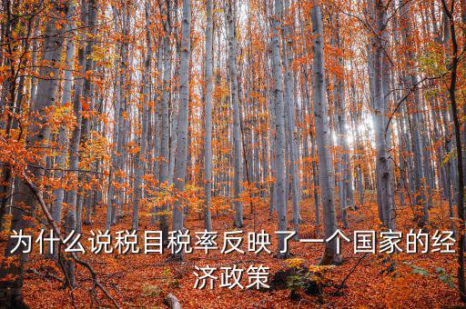 為什么要規(guī)定稅目，稅目是什么意思