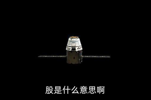 人教股什么意思，股是什么意思啊