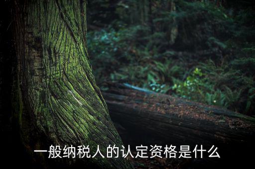 一般納稅人資格證是什么，請問一般納稅人應有什么證