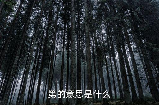 第稽什么意思，第是什么意思