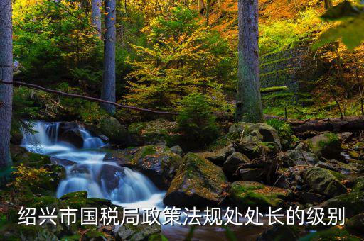 紹興市國稅局政策法規(guī)處處長(zhǎng)的級(jí)別