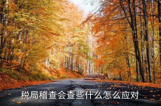 發(fā)票稽查查什么，稅局稽查會查些什么怎么應對
