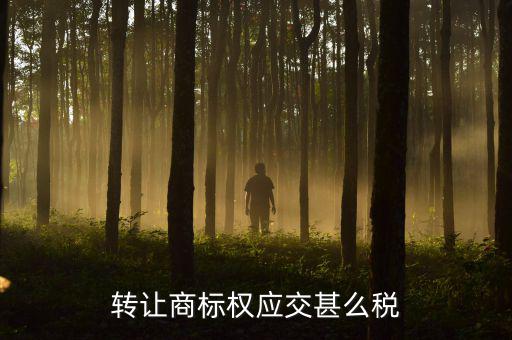 轉(zhuǎn)讓商標權(quán)應(yīng)交甚么稅