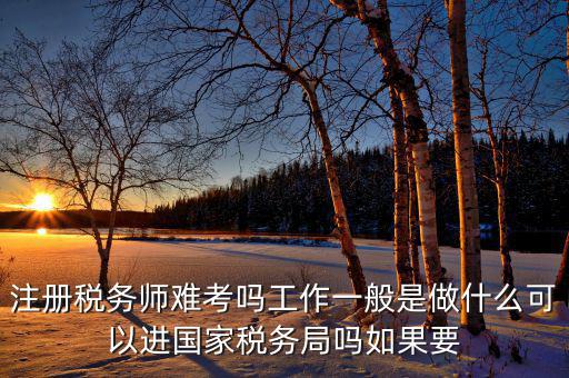 稅務(wù)師是什么，注冊稅務(wù)師能干什么待遇怎么樣