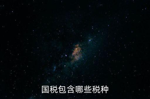 國稅發(fā)票有什么項目，國稅通用手工發(fā)票可以開什么項目經(jīng)營范圍是道路普通貨物運輸
