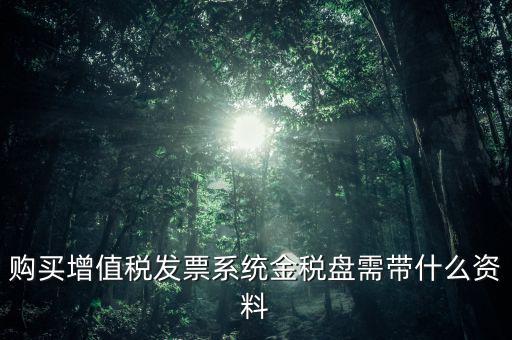 購(gòu)買金稅盤要什么資料，購(gòu)買增值稅發(fā)票系統(tǒng)金稅盤需帶什么資料