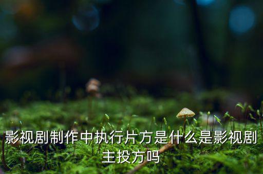 什么是分立主導(dǎo)方，股權(quán)分立是什么意思