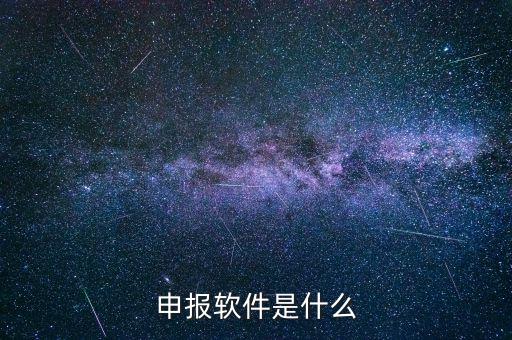 國稅申報軟件叫什么，申報軟件是什么