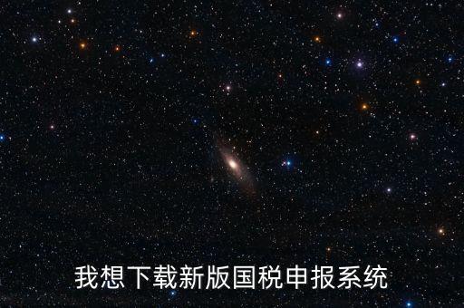 新疆國(guó)稅報(bào)稅什么系統(tǒng)下載，我想下載新版國(guó)稅申報(bào)系統(tǒng)