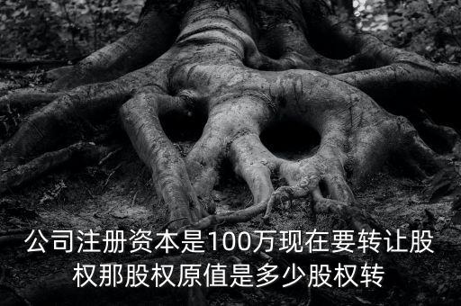 股權(quán)原值是什么意思，公司注冊資本是100萬現(xiàn)在要轉(zhuǎn)讓股權(quán)那股權(quán)原值是多少股權(quán)轉(zhuǎn)